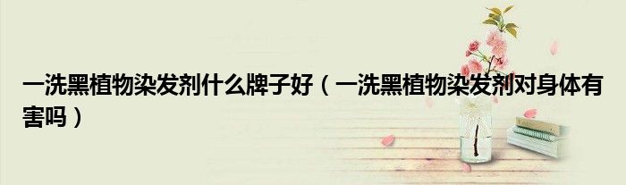 一洗黑植物染發(fā)劑什么牌子好（一洗黑植物染發(fā)劑對(duì)身體有害嗎）