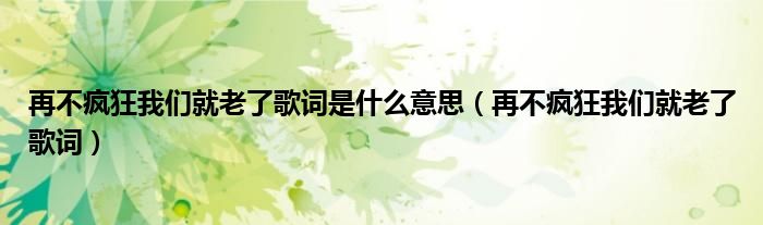 再不瘋狂我們就老了歌詞是什么意思（再不瘋狂我們就老了歌詞）