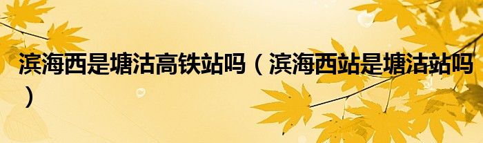 濱海西是塘沽高鐵站嗎（濱海西站是塘沽站嗎）