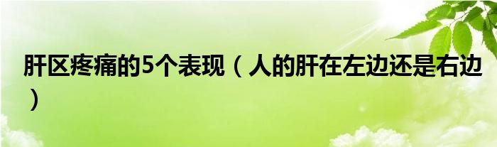肝區(qū)疼痛的5個表現(xiàn)（人的肝在左邊還是右邊）