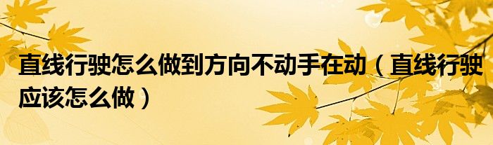 直線行駛怎么做到方向不動(dòng)手在動(dòng)（直線行駛應(yīng)該怎么做）
