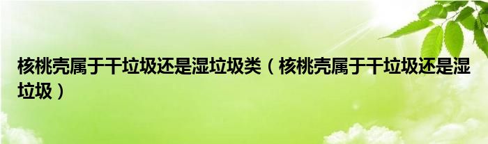 核桃殼屬于干垃圾還是濕垃圾類（核桃殼屬于干垃圾還是濕垃圾）