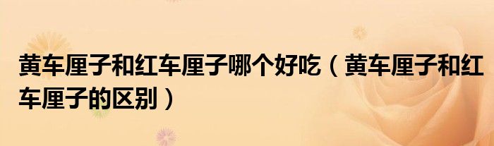 黃車?yán)遄雍图t車?yán)遄幽膫€(gè)好吃（黃車?yán)遄雍图t車?yán)遄拥膮^(qū)別）