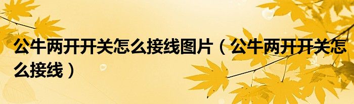 公牛兩開開關(guān)怎么接線圖片（公牛兩開開關(guān)怎么接線）