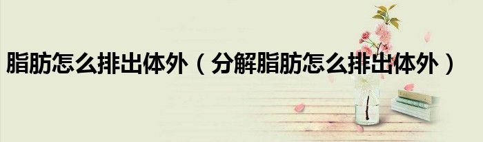 脂肪怎么排出體外（分解脂肪怎么排出體外）