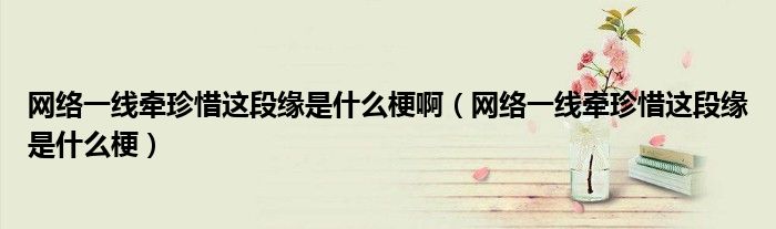 網(wǎng)絡(luò)一線牽珍惜這段緣是什么梗?。ňW(wǎng)絡(luò)一線牽珍惜這段緣是什么梗）