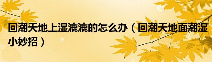 回潮天地上濕漉漉的怎么辦（回潮天地面潮濕小妙招）