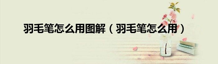 羽毛筆怎么用圖解（羽毛筆怎么用）