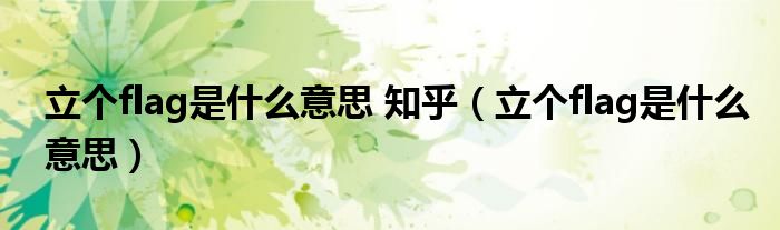 立個flag是什么意思 知乎（立個flag是什么意思）