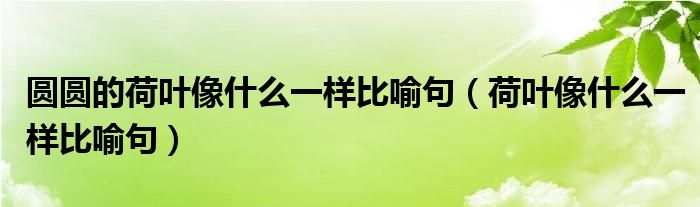 圓圓的荷葉像什么一樣比喻句（荷葉像什么一樣比喻句）