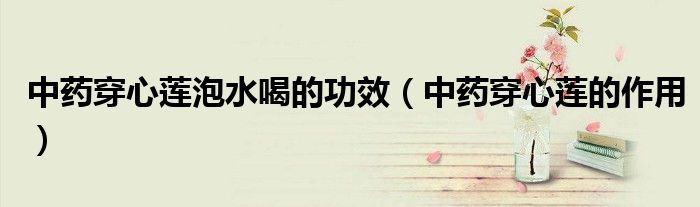中藥穿心蓮泡水喝的功效（中藥穿心蓮的作用）