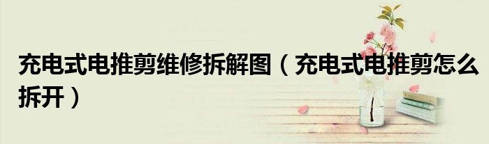 充電式電推剪維修拆解圖（充電式電推剪怎么拆開）