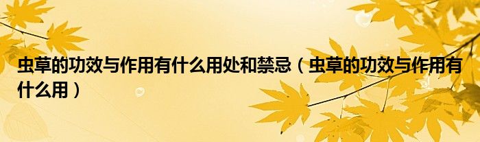 蟲草的功效與作用有什么用處和禁忌（蟲草的功效與作用有什么用）
