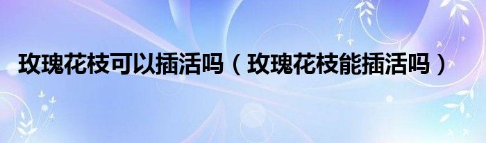 玫瑰花枝可以插活嗎（玫瑰花枝能插活嗎）