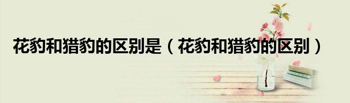 花豹和獵豹的區(qū)別是（花豹和獵豹的區(qū)別）