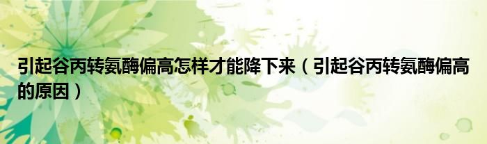 引起谷丙轉(zhuǎn)氨酶偏高怎樣才能降下來（引起谷丙轉(zhuǎn)氨酶偏高的原因）