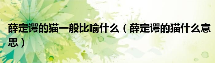 薛定諤的貓一般比喻什么（薛定諤的貓什么意思）