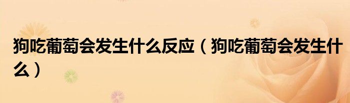 狗吃葡萄會(huì)發(fā)生什么反應(yīng)（狗吃葡萄會(huì)發(fā)生什么）