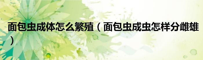 面包蟲(chóng)成體怎么繁殖（面包蟲(chóng)成蟲(chóng)怎樣分雌雄）