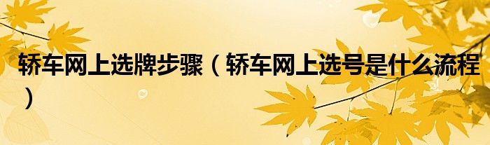 轎車網(wǎng)上選牌步驟（轎車網(wǎng)上選號是什么流程）