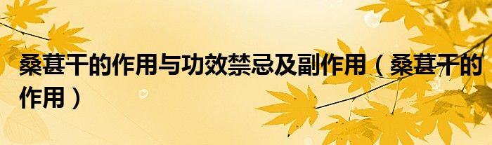 桑葚干的作用與功效禁忌及副作用（桑葚干的作用）