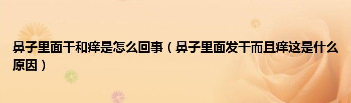 鼻子里面干和癢是怎么回事（鼻子里面發(fā)干而且癢這是什么原因）
