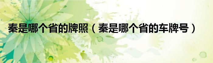 秦是哪個省的牌照（秦是哪個省的車牌號）
