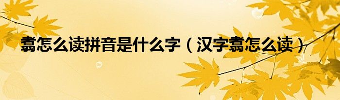翥怎么讀拼音是什么字（漢字翥怎么讀）