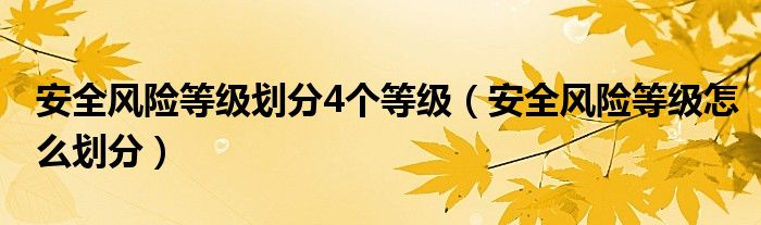 安全風(fēng)險(xiǎn)等級(jí)劃分4個(gè)等級(jí)（安全風(fēng)險(xiǎn)等級(jí)怎么劃分）