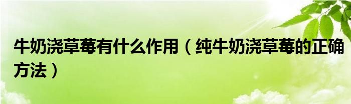 牛奶澆草莓有什么作用（純牛奶澆草莓的正確方法）