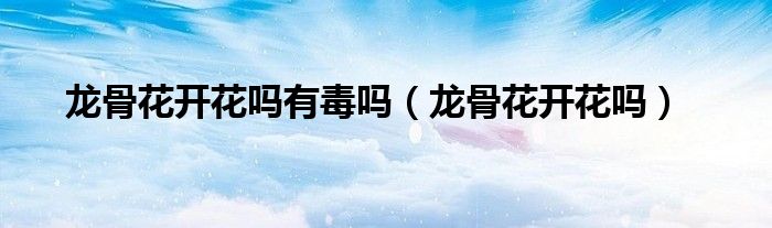 龍骨花開花嗎有毒嗎（龍骨花開花嗎）