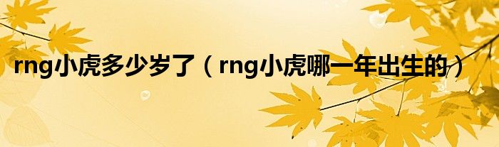 rng小虎多少歲了（rng小虎哪一年出生的）