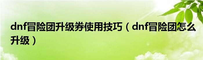 dnf冒險團升級券使用技巧（dnf冒險團怎么升級）