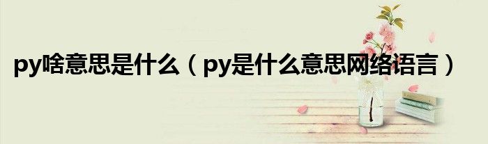 py啥意思是什么（py是什么意思網(wǎng)絡(luò)語言）