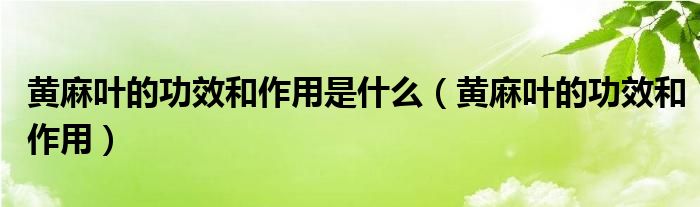 黃麻葉的功效和作用是什么（黃麻葉的功效和作用）