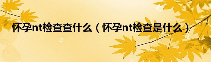 懷孕nt檢查查什么（懷孕nt檢查是什么）