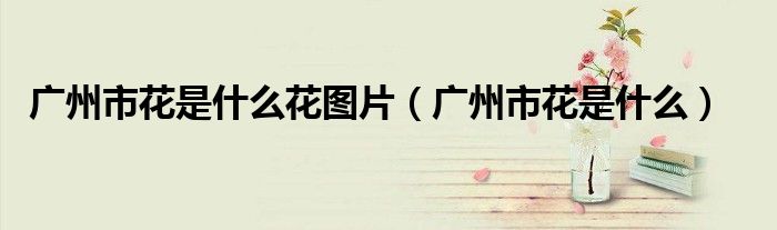 廣州市花是什么花圖片（廣州市花是什么）