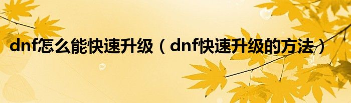 dnf怎么能快速升級（dnf快速升級的方法）