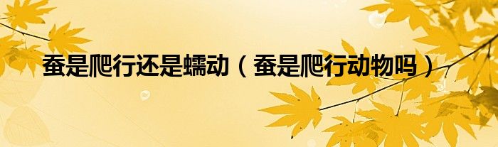 蠶是爬行還是蠕動(dòng)（蠶是爬行動(dòng)物嗎）