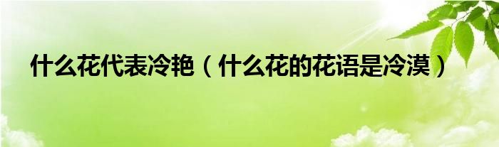 什么花代表冷艷（什么花的花語是冷漠）