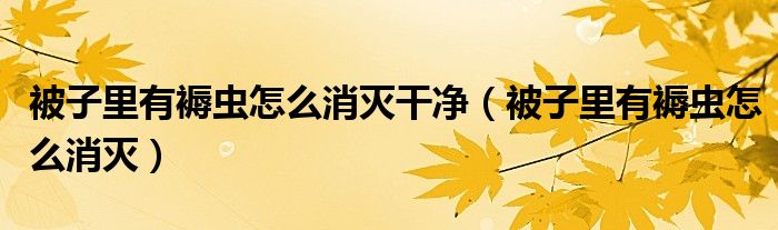 被子里有褥蟲(chóng)怎么消滅干凈（被子里有褥蟲(chóng)怎么消滅）