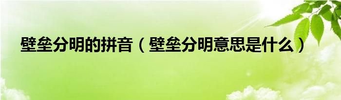 壁壘分明的拼音（壁壘分明意思是什么）