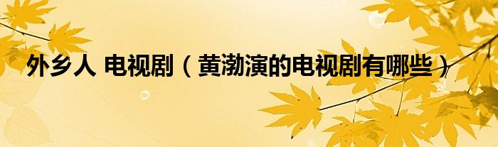 外鄉(xiāng)人 電視?。S渤演的電視劇有哪些）
