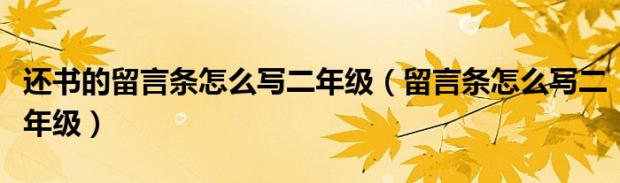 還書的留言條怎么寫二年級（留言條怎么寫二年級）