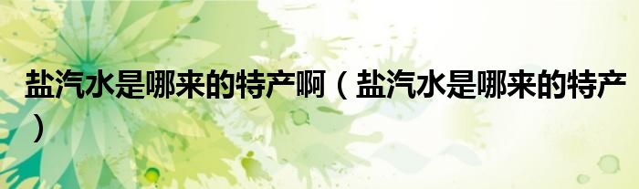 鹽汽水是哪來的特產(chǎn)?。}汽水是哪來的特產(chǎn)）