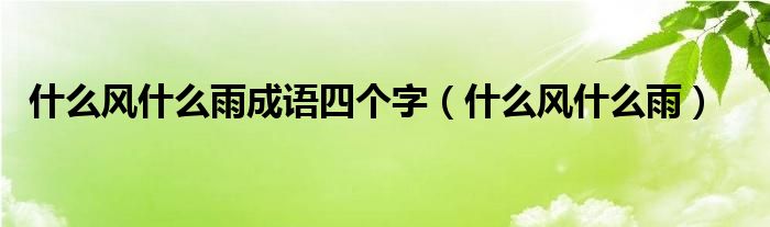 什么風(fēng)什么雨成語四個(gè)字（什么風(fēng)什么雨）