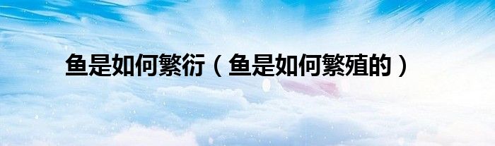 魚是如何繁衍（魚是如何繁殖的）