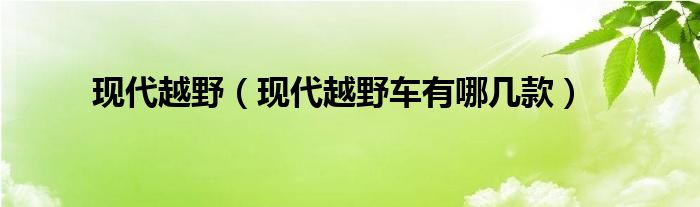 現(xiàn)代越野（現(xiàn)代越野車有哪幾款）