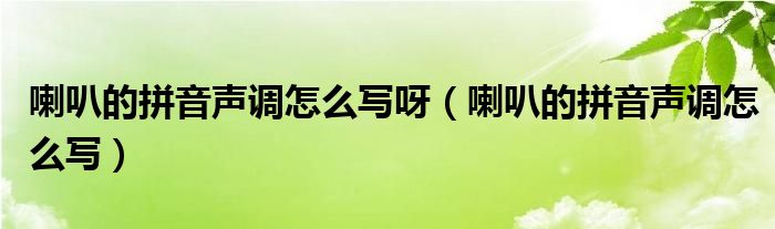 喇叭的拼音聲調(diào)怎么寫呀（喇叭的拼音聲調(diào)怎么寫）