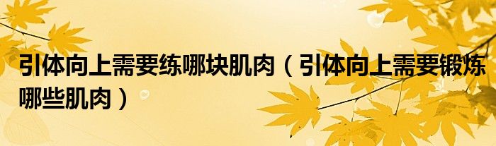 引體向上需要練哪塊肌肉（引體向上需要鍛煉哪些肌肉）